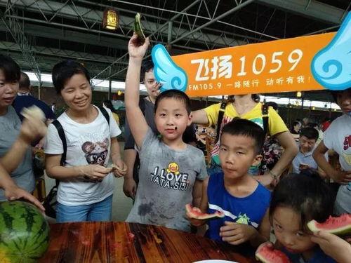 娱乐吃瓜排排坐,明星排排坐，精彩瞬间大揭秘